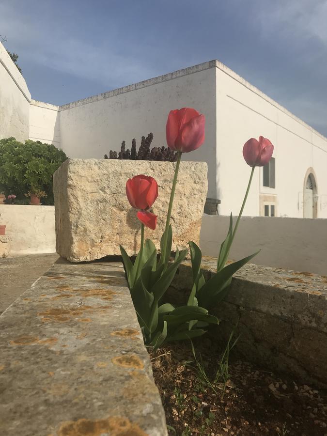 Masseria Rienzo Остуни Екстериор снимка