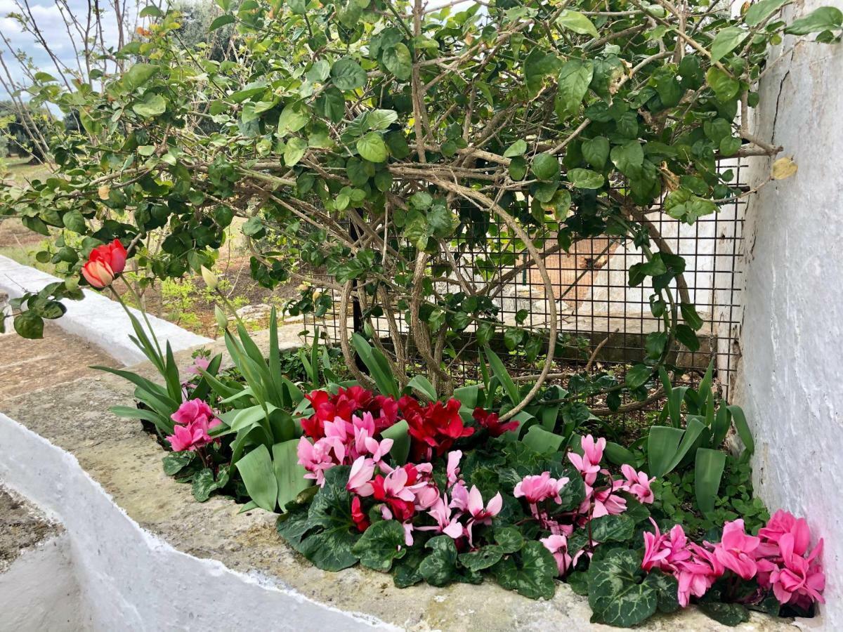 Masseria Rienzo Остуни Екстериор снимка