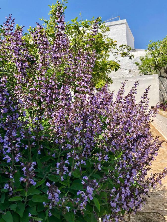 Masseria Rienzo Остуни Екстериор снимка